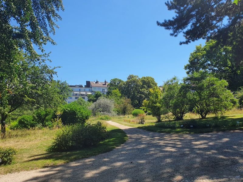 Provisionsfrei: Direkt am Botanischen Garten/Jacquing.: WG-/Büro Eignung+Grünblick+beste Infrastruktur