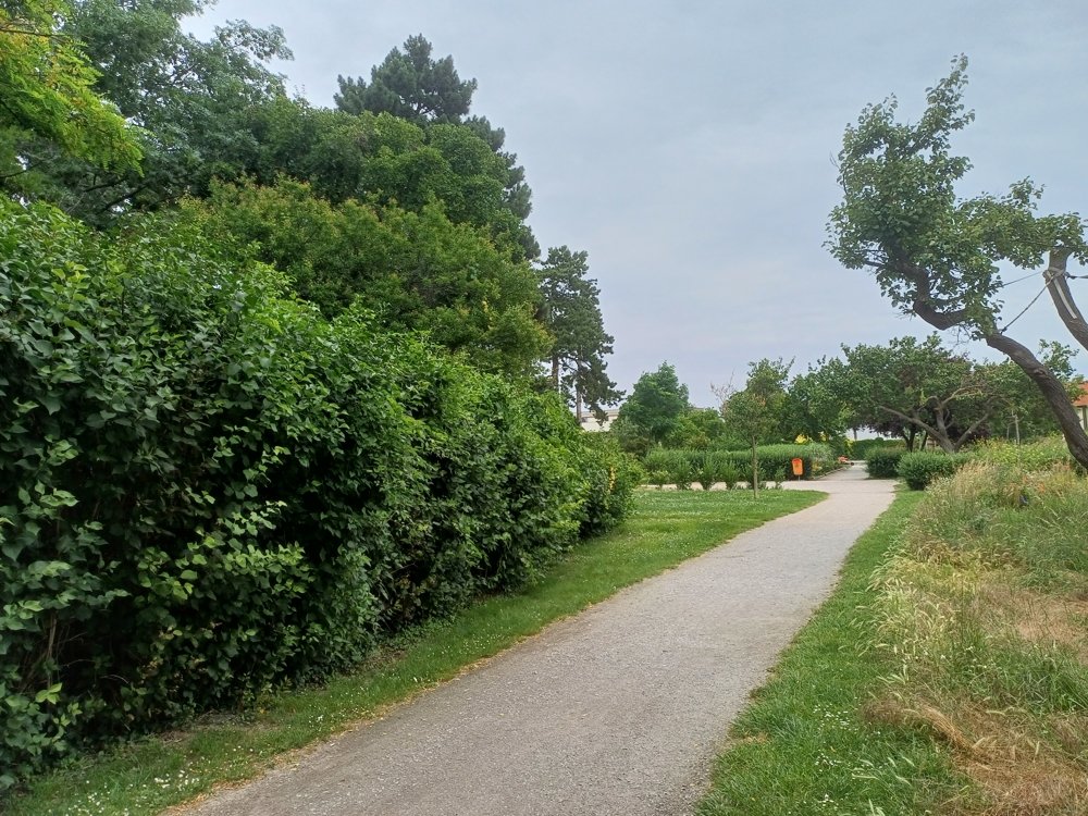Schwechat-Felmayergarten: 2ZI+Balkon+Erstbezug nach Sanierung+Grünblick in Ruhelage