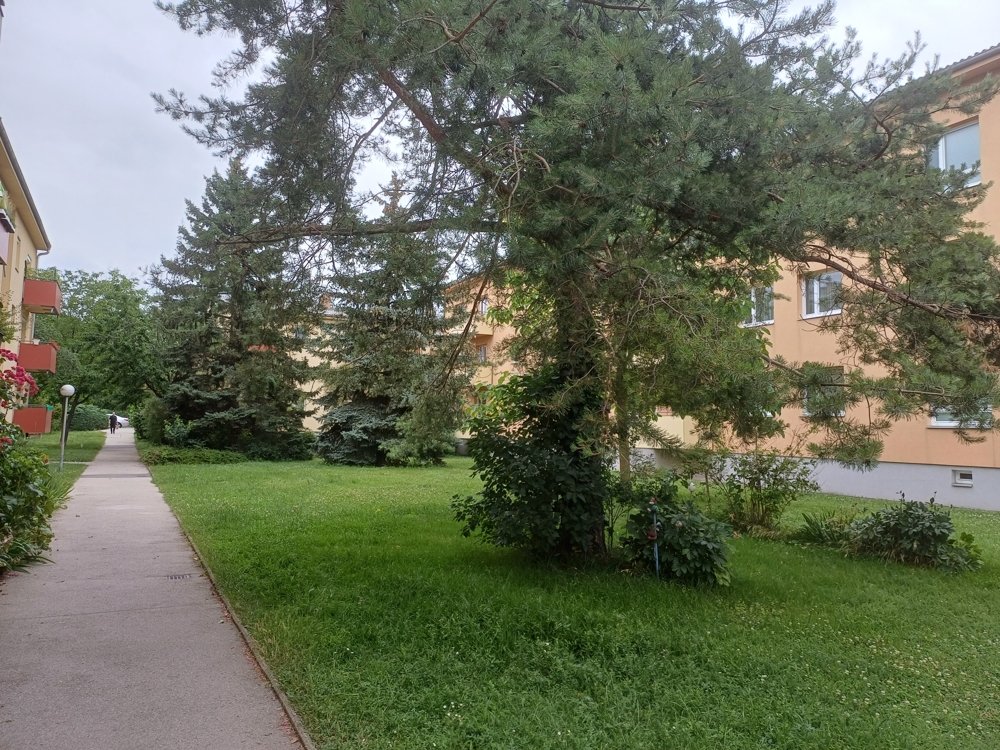 Schwechat-Felmayergarten: 2ZI+Balkon+Erstbezug nach Sanierung+Grünblick in Ruhelage