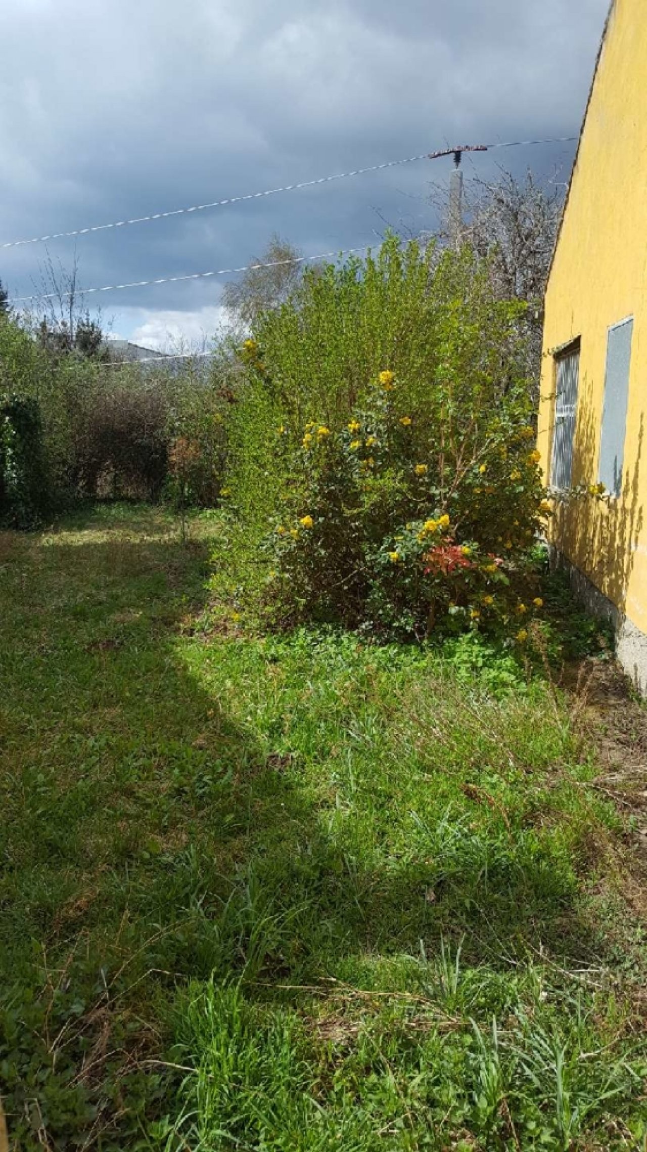 Vormittag im Garten Vormittag im Garten