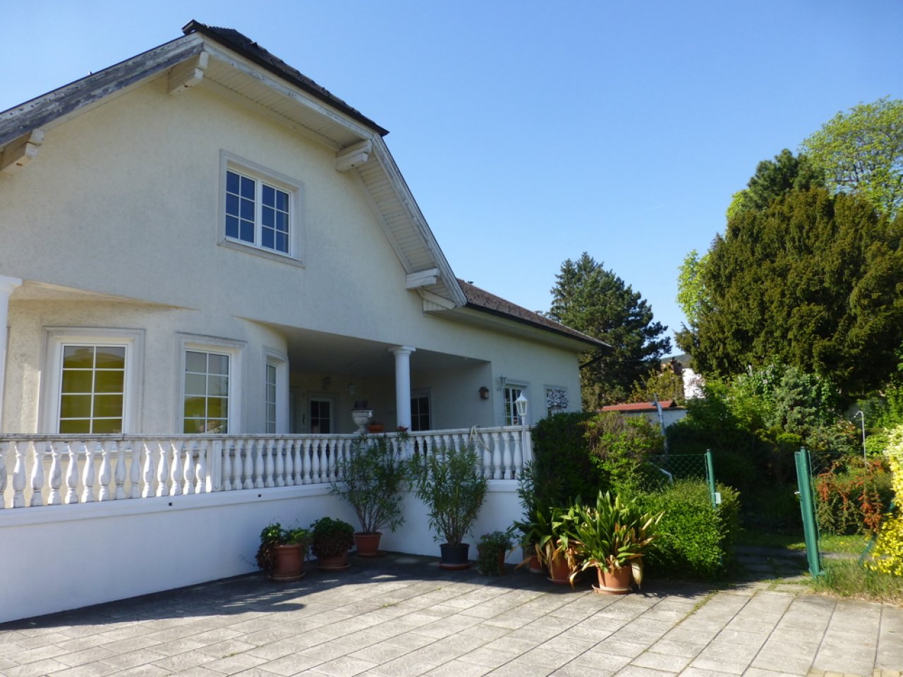 Altbestand Nahaufnahme