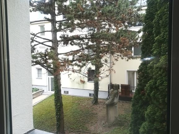 Fensterblick Küche - Kopie Fensterblick Küche - Kopie