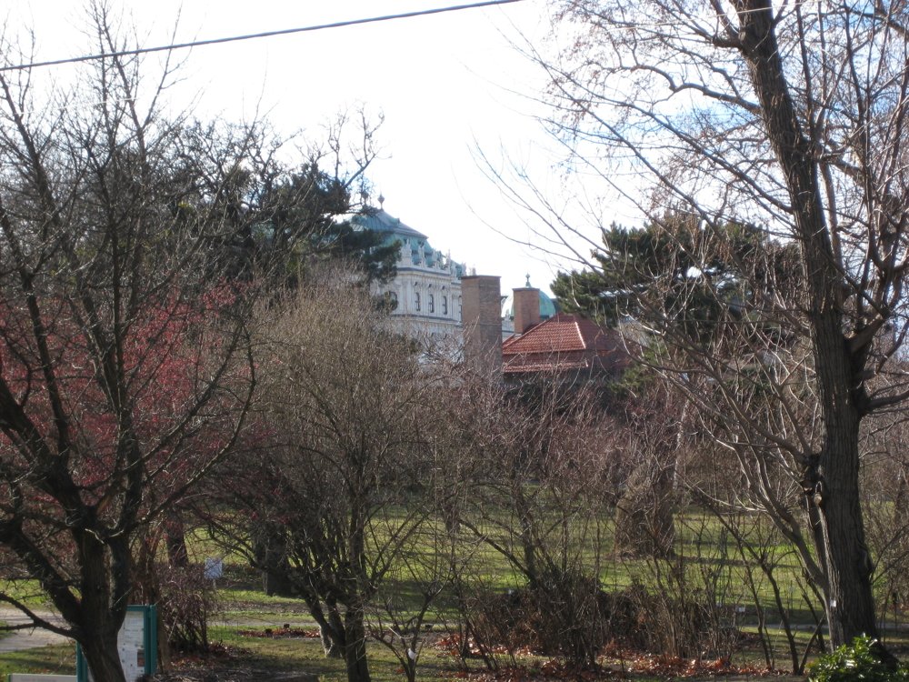 Wien / Wien 3., Landstraße: Direkt am Botanischen Garten/Jacquing.:  Wohnung mit Büro  Eignung+Grünblick+beste Infrastruktur 