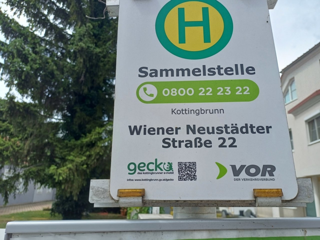 Gecko Anruftaxi Gecko Anruftaxi