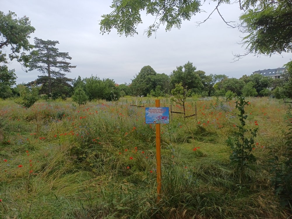 Felmayergarten1 Felmayergarten1