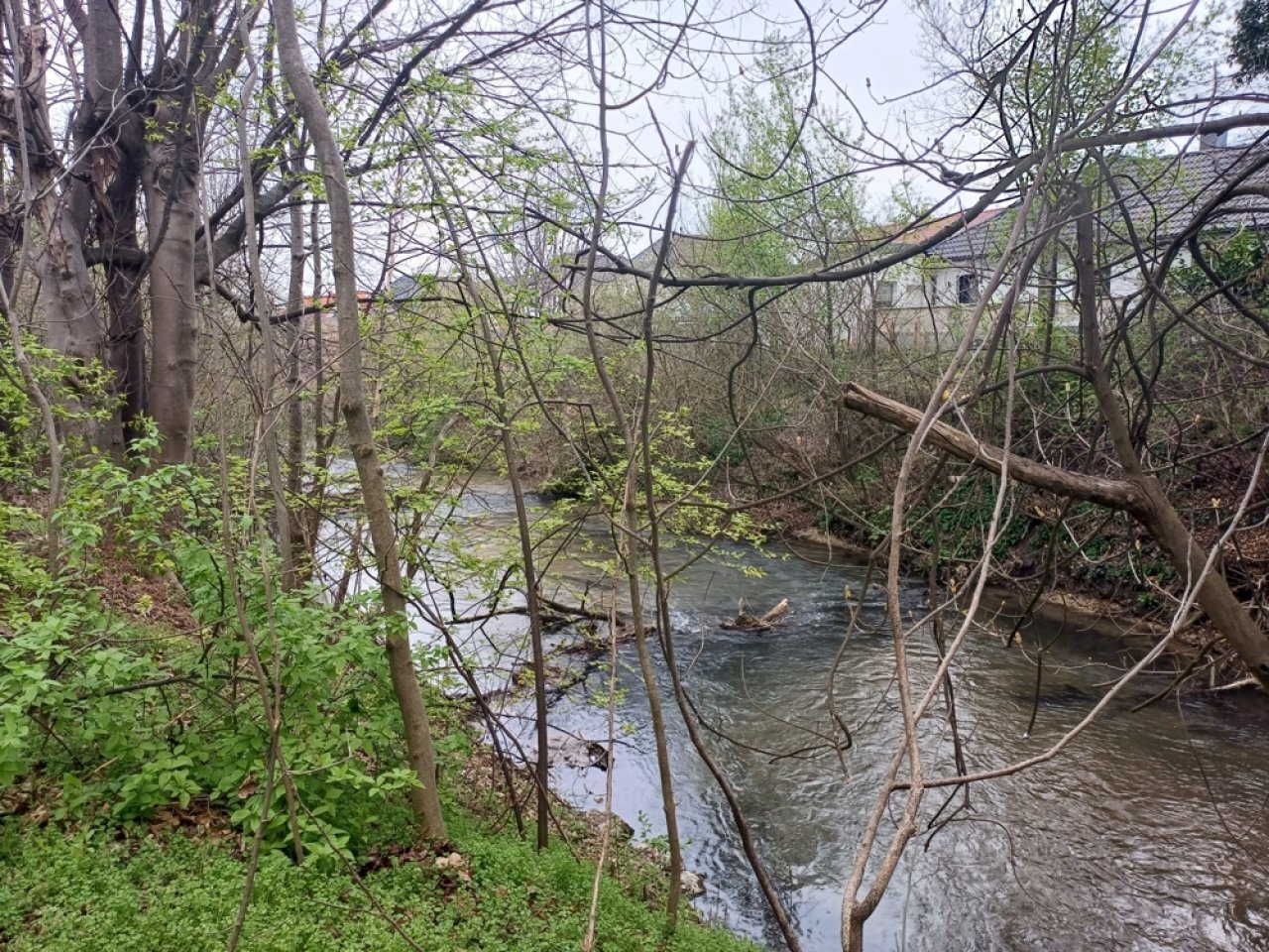 Wohnen an der Fischa Wohnen an der Fischa