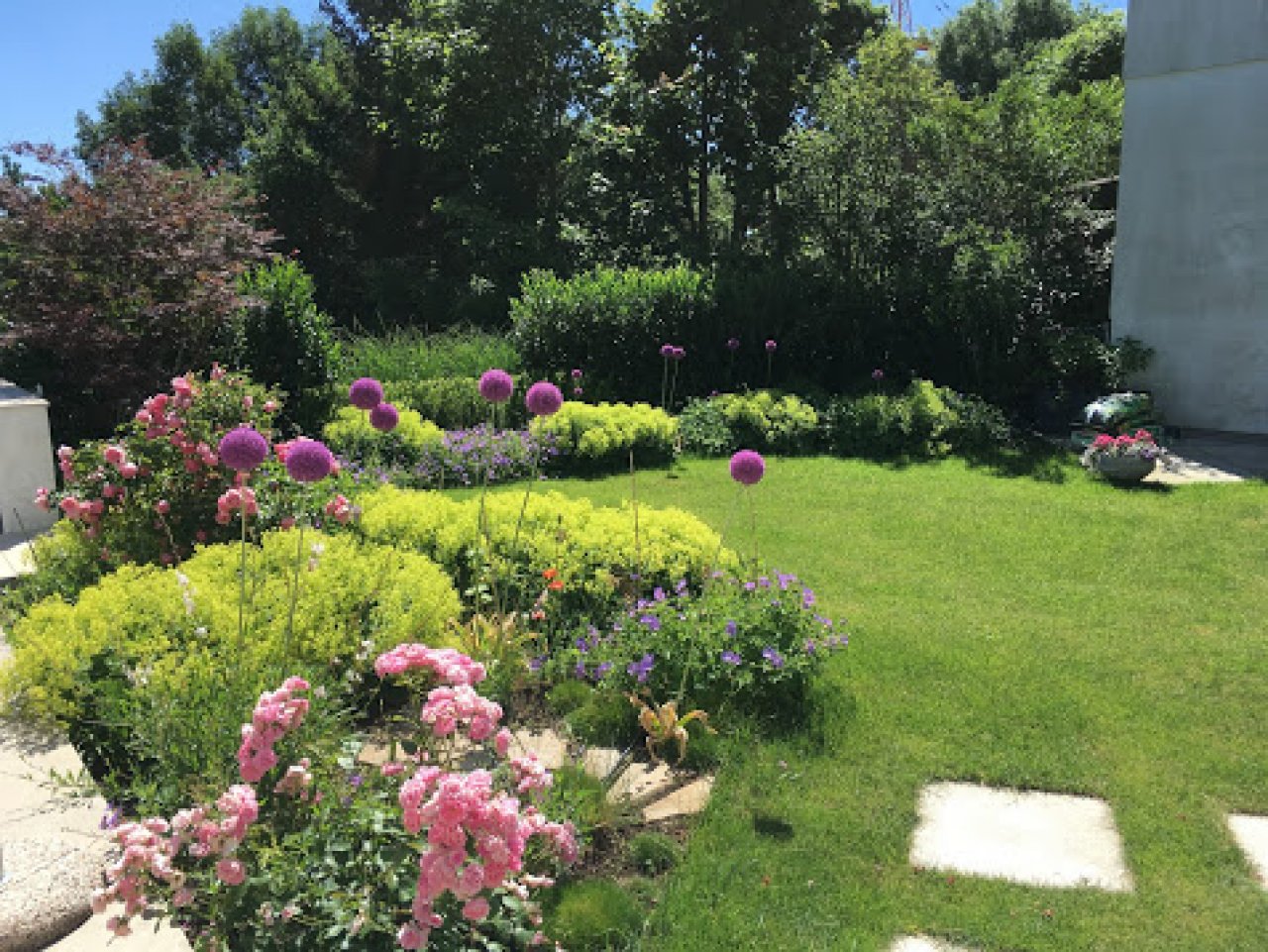 Garten Sommer Garten Sommer