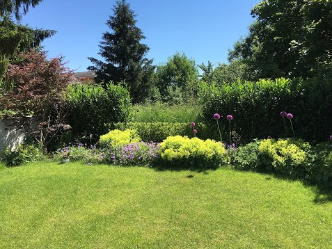 Garten Sommer Garten Sommer
