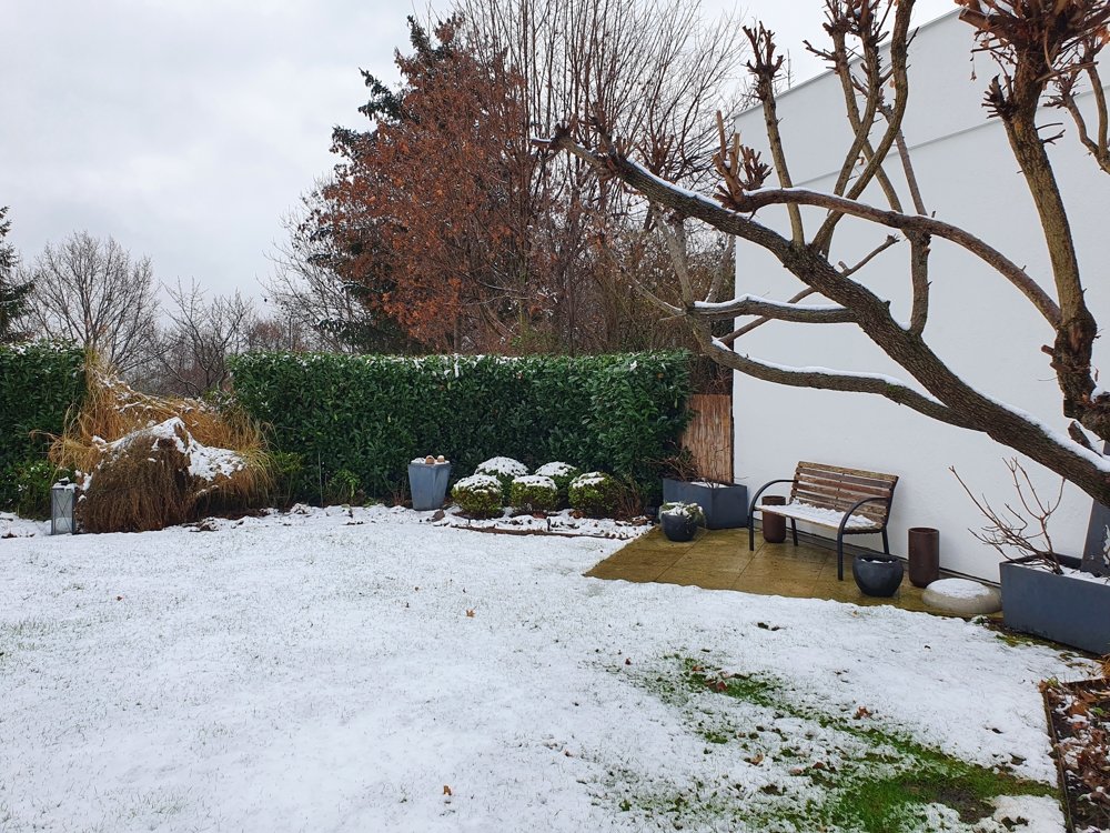 Garten im Winter 2 Garten im Winter 2
