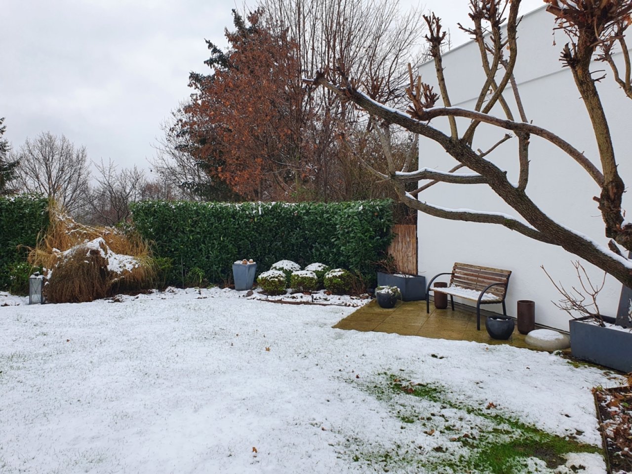 Garten im Winter 2 Garten im Winter 2