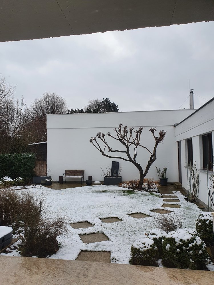 Garten im Winter 3 Garten im Winter 3